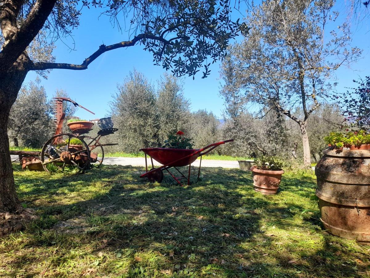 Appartamento La Zanzara Pergine Valdarno Esterno foto